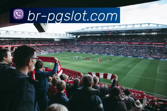 麻将胡了PG官网APP 封面图